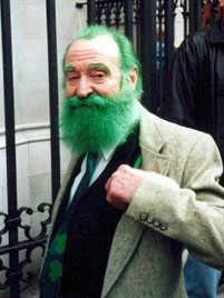 Michael Finnegan