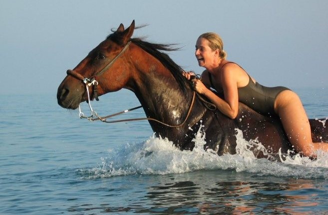 Horse