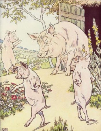 Three Little Piggies